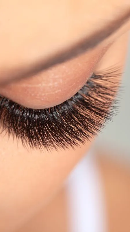 Wimpern und Augenbrauen